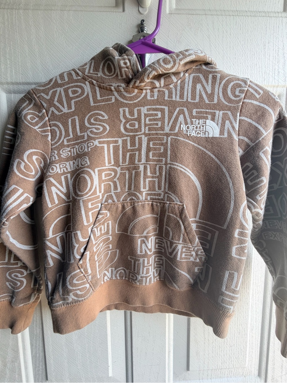 The North Face Boys Tan Logo Hoodie, size EXTRA SMALL 6